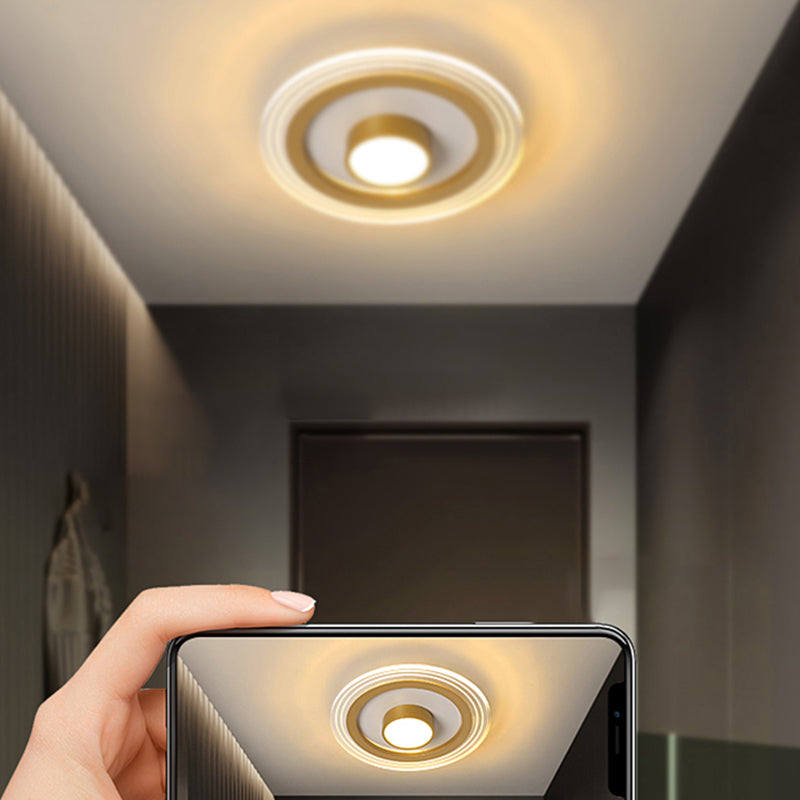 Minimalist Gold Led Flushmount Foyer Light Small Acrylic Ceiling Flush Mount
