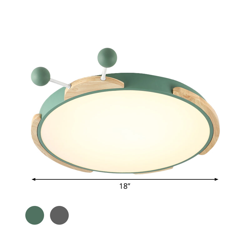 Insect Cartoon Ceiling Lamp With Led Flushmount Lighting In Warm/White Light - Gray/Green