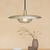 Modern Iron Wire Domed Pendant Light With Wooden Shade - Shop 1 Suspension Gold
