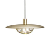 Modern Iron Wire Domed Pendant Light With Wooden Shade - Shop 1 Suspension