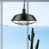 Industrial Wire Cage Pendant Light With Barn Shade - Black