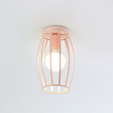 Nordic Metal Ceiling Mount Lamp | Oval Flush Light 1 Corridor Lighting -