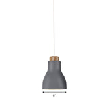 Nordic Half-Bottle Pendant Light - Stylish Metallic Hanging For Balcony And Study Room