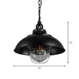 Rustic Metal Pendant Lighting With Wire Cage Clear Glass Shade - 1-Light Bistro Hanging Lamp 12/16