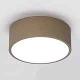 Nordic Stylish Acrylic Round Small Ceiling Lamp For Kindergarten Bathroom Brown