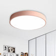 Modern Led Flush Mount Ceiling Light For Minimalist Bedrooms Pink / 12’ White