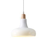 Modern Glass Pendant Lamp With Led Light In White Or Warm Tone - Bowl Cone Saucer Shape