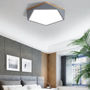 Minimalist Metal Pentagon Flush Mount Led Ceiling Light Grey / 16’ White