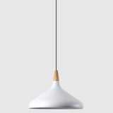 Simplicity Pendant Light: Nordic Macaroon Aluminum Lampshade | Multi Color Options Ideal 1-Light