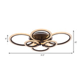 Contemporary Brown Led Ceiling Light - Petal Acrylic Flush For Living Room (Neutral/Warm/White)