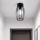 Nordic Metal Ceiling Mount Lamp | Oval Flush Light 1 Corridor Lighting -