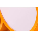18/22 Petal Flush Mount Led Ceiling Lamp In Vibrant Colors And Brightness Settings Perfect For