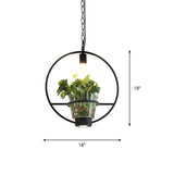 Industrial Cage Drop Pendant With Clear Glass Plant Pot - Black Iron And Down Lighting