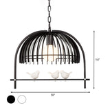 Lodge Style Metal Dome Pendant Light W/ Bird Cage Design - 1 Bulb Hanging Lamp Black/White