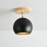 Rotatable Orb Shade Ceiling Light - Ideal For Study Room & Corridor Black