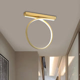 Black/Gold Flush Mount Ceiling Light Simplicity Metal Led Flushmount (Warm/White Light) For