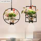 Black Industrial Iron Pendant With Clear Glass Plant Pot: 1 Light Down Lighting Cage Design