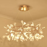 Bronze Designer Led Heracleum Chandelier: Acrylic Living Room Pendant Light Fixture 138 / Warm