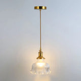 Clear Glass Pendant Lighting Fixture With Simplicity Shaded Hanging Light / D