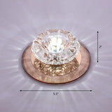 Contemporary Crystal Led Flush Mount Ceiling Light: Floral Entryway Lighting Tan / White