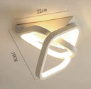 Home Passage Lamp Corridor Human Body Induction Ceiling Lamp Home Corridor Cloakroom Lamp White / White light Ceiling