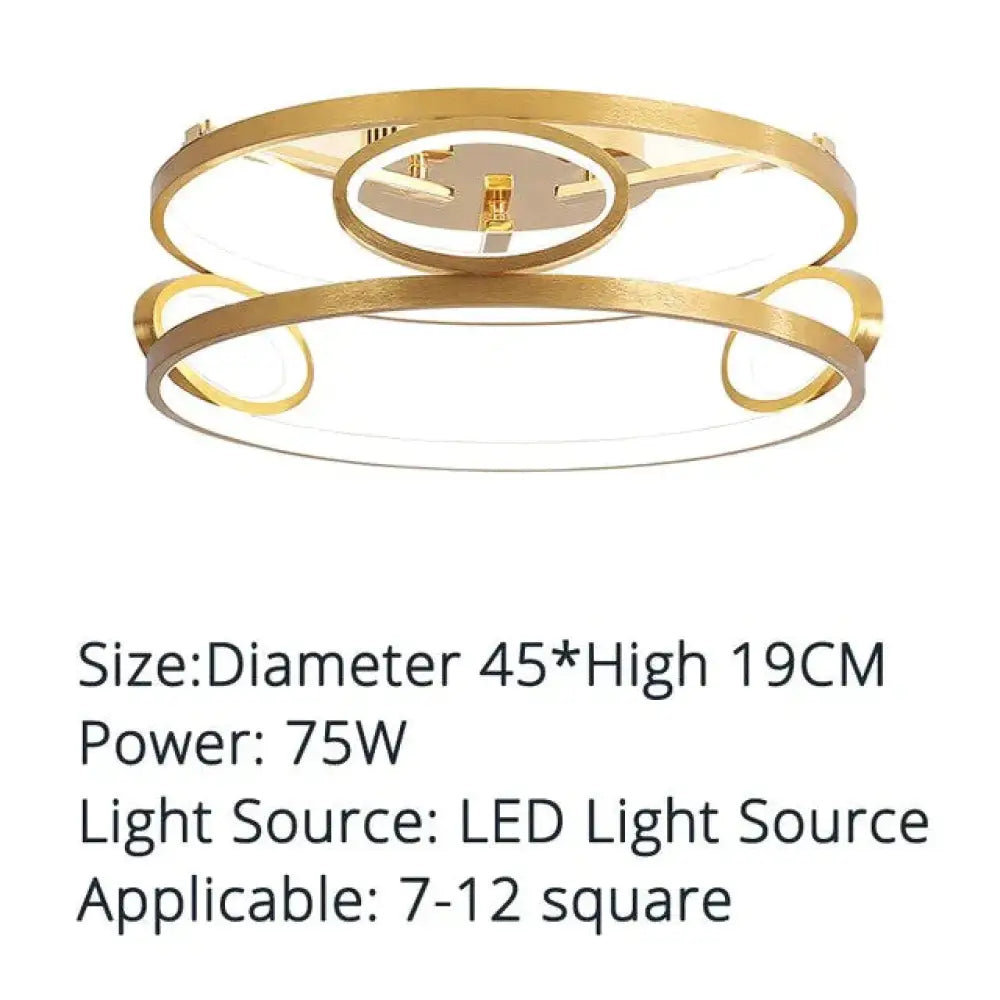 Led Ceiling Lights Gold Body Round/Square For Bedroom Support Remote Control Led Lamps / Round