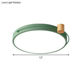Led Flush Mount Lighting Fixture In Warm/White Light For Living Room Ceiling - Grey/White/Green