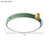 Led Flush Mount Lighting Fixture In Warm/White Light For Living Room Ceiling - Grey/White/Green