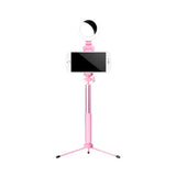 Led Mirror Light With Metallic Shade & Mobile Holder - Modern Pink Circle Design / Usb A