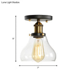 Mini Corridor Semi Flush Light Farmhouse Globe/Pear Ceiling Lamp – Clear Ribbed Glass Black &