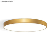 Minimalist Metal Flush Mount Ceiling Light For Bedroom