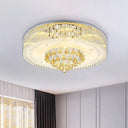 Modern Clear Crystal Led Flush Mount Ceiling Light Fixture