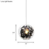 Modern Clear Glass Pendant Ceiling Light with Black Plant Design Inside Black