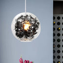 Modern Clear Glass Pendant Ceiling Light with Black Plant Design Inside Black