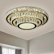 Modern Flush - Mount Led Ceiling Light With Stainless - Steel Layered Circle And Beveled Crystal