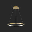 Modern Orbicular Chandelier Lamp - Metallic Simplicity Hanging Light For Living Room Gold / 8