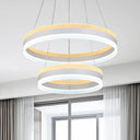 Modern Silver Circular Led Chandelier Pendant Light Fixture | 1/2/3-Light Acrylic Ceiling Lighting 2