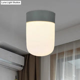 Modernist Metal & Frosted Glass Flush Mount Light - Pink/Gray Ceiling Lighting