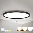 Nordic Acrylic Disk Led Flush Mount Ceiling Light For Living Room Black / 16’