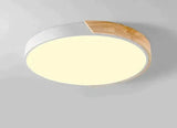 Nordic Fashion Simple Wooden Ceiling Lamps Colorful Round Aluminum Bedroom Living Room Light