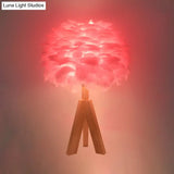 Nordic Goose Feather Dome Night Light Table Lamp In Grey/White/Pink With Tripod/Straight Stand