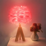 Nordic Goose Feather Dome Night Light Table Lamp In Grey/White/Pink With Tripod/Straight Stand