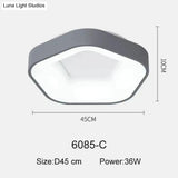 Nordic Led Ceiling Lights For Bedroom Kitchen Post Modern Lighting Lamp Dimmable With Remote