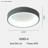 Nordic Led Ceiling Lights For Bedroom Kitchen Post Modern Lighting Lamp Dimmable With Remote
