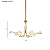 Postmodern Gold Ribbed Crystal Cone Chandelier - 6-Head Burst Design Hanging Light Fixture