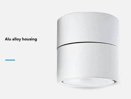 3W/5W/7W/10W12W Dimmable Led Surface Mounted Ceiling Lamp Foldable And Rotatable Cob Corridor Spot