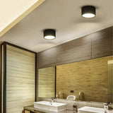 Led Surface Mounted Ceiling Lamp 5W 12W 15W Dimmable Led Down Light Modern Lamp Indoor Background