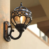 Retro Clear Glass Outdoor Wall Light With Cage Guard Black / 8