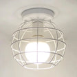 Retro-Style Globe Cage Metal Ceiling Light With 1 And Flush-Mount Design In Black/White White