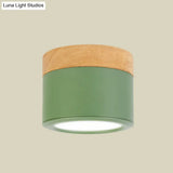 Round Flush Mount Acrylic Macaron Loft Ceiling Light For Bathroom Hallway - Small Green/Grey/White